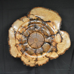 Genesis Wall Art Urn Eternal Shield