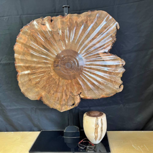 Helios Wall Art Urn Eternal Shield